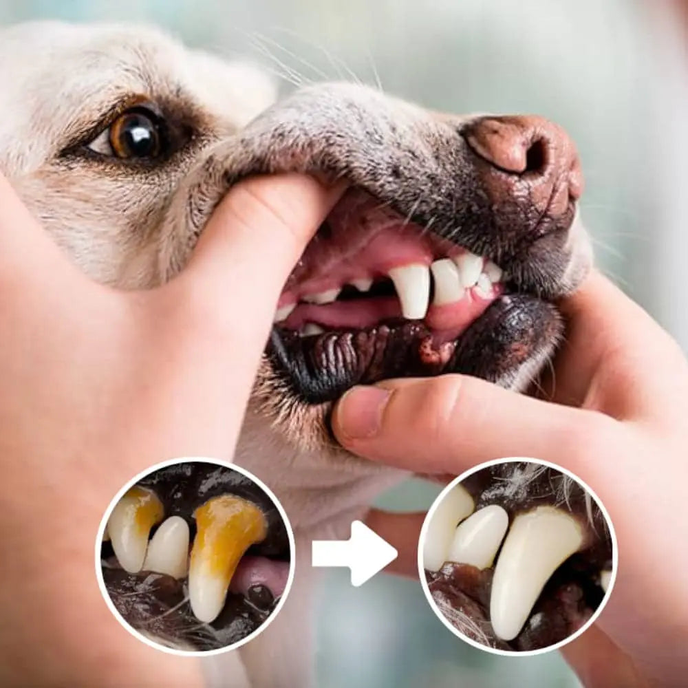 Pet-Pen™ (Private Listing U2190340)